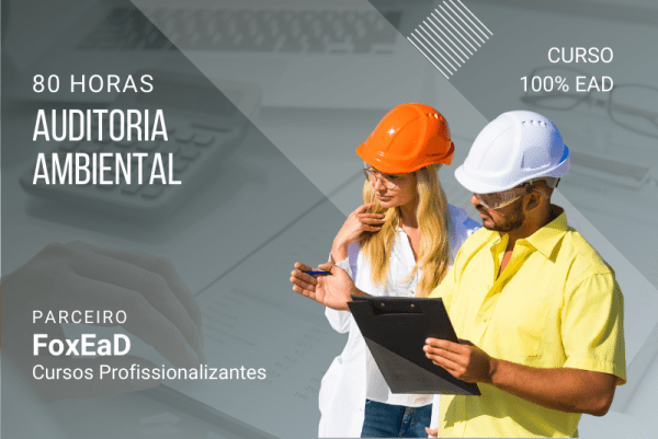 Auditoria Ambiental - 80 Horas